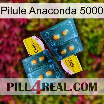 Anaconda 5000 Pill cialis5